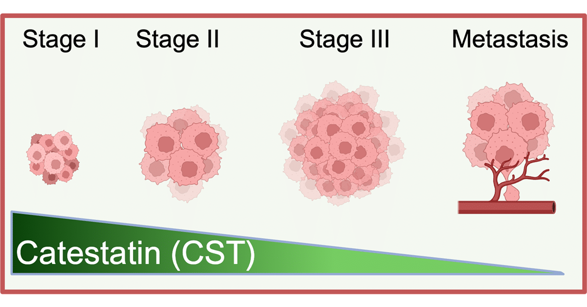 Catestatin