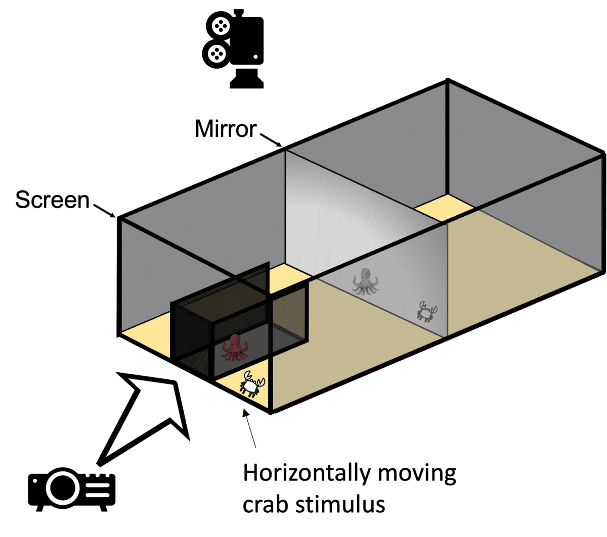 Experiment Setup Graphic