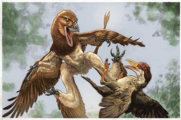 Microraptor