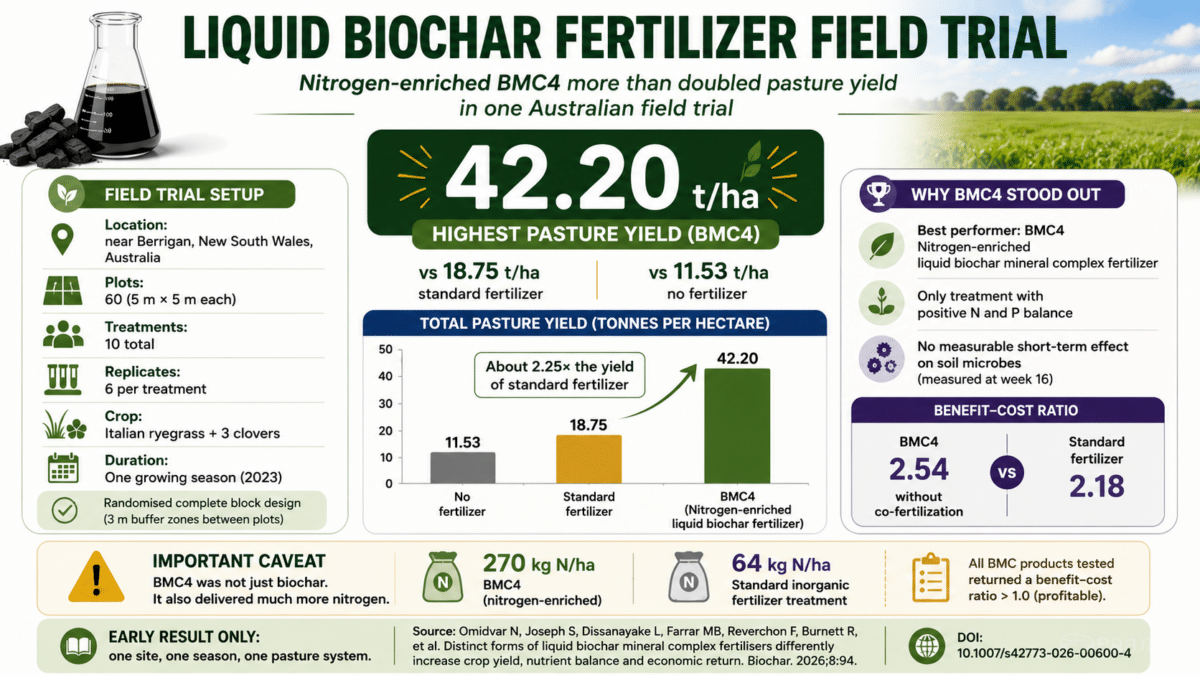biochar infographic