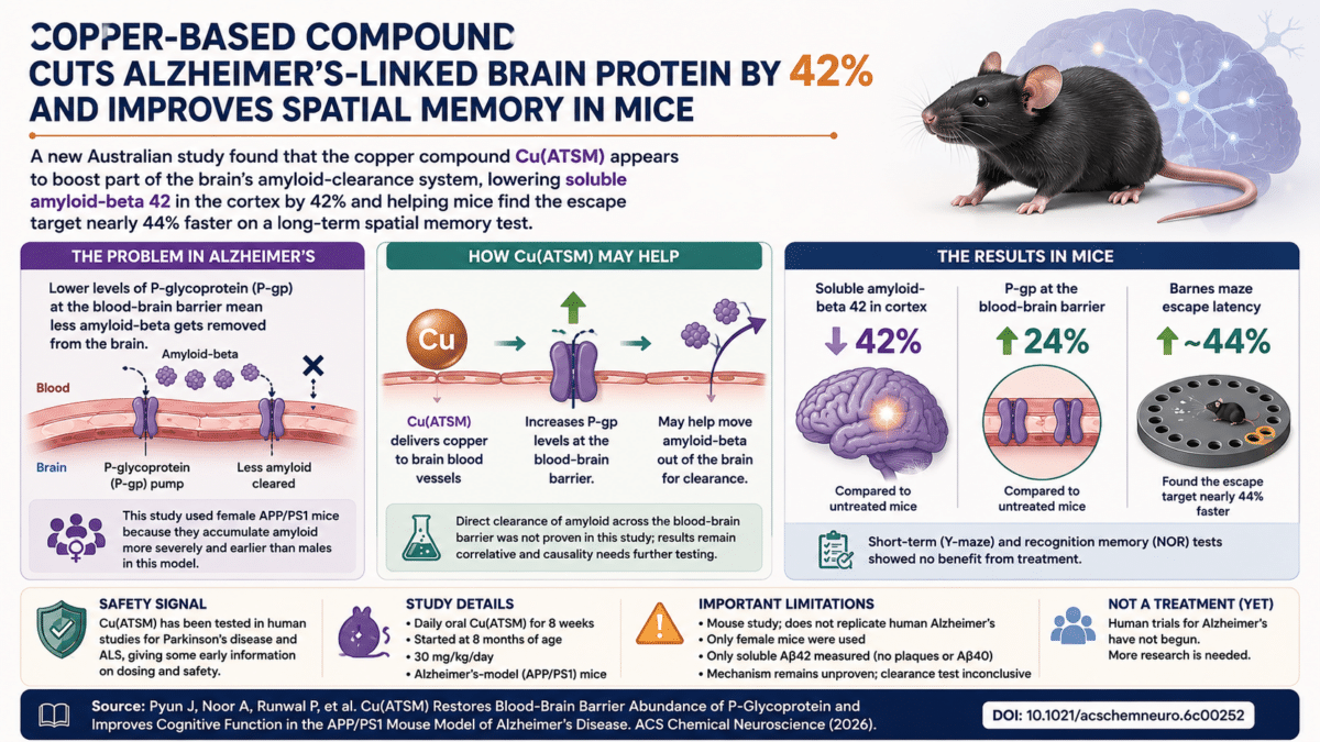 copper infographic