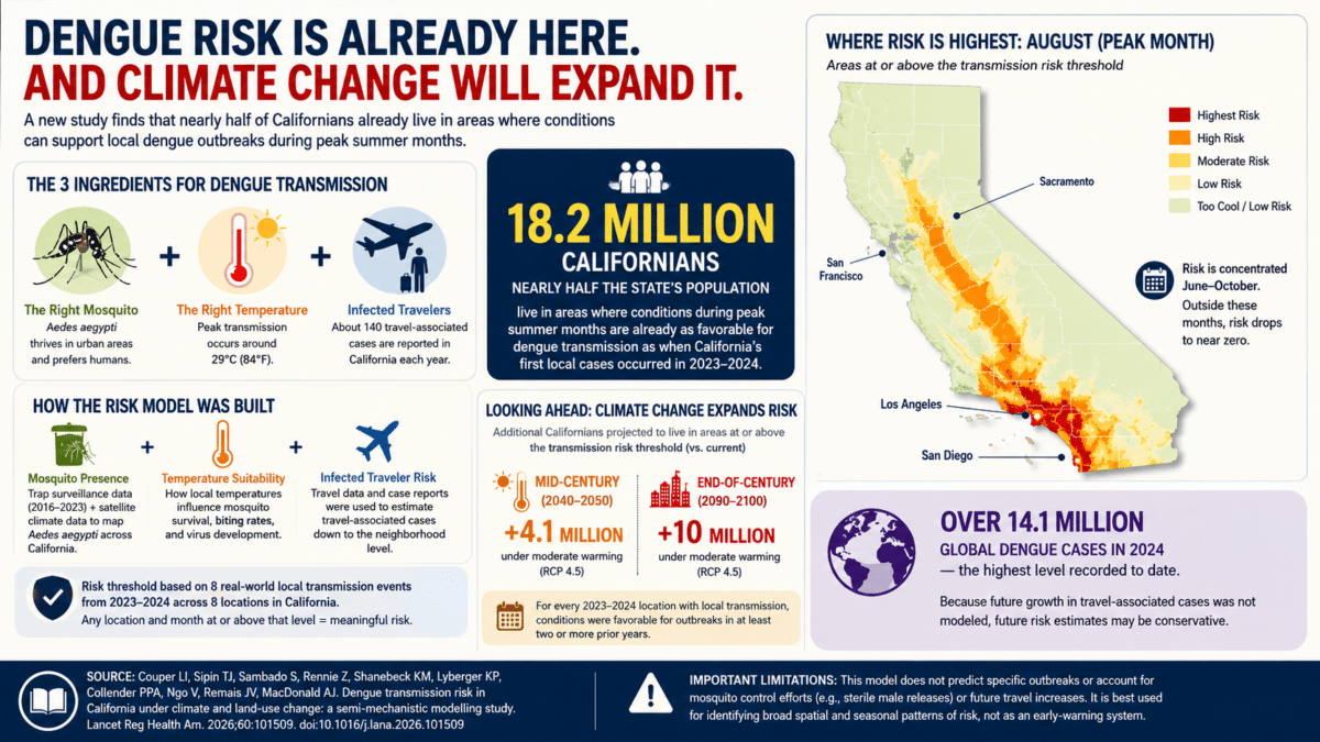 dengue infographic