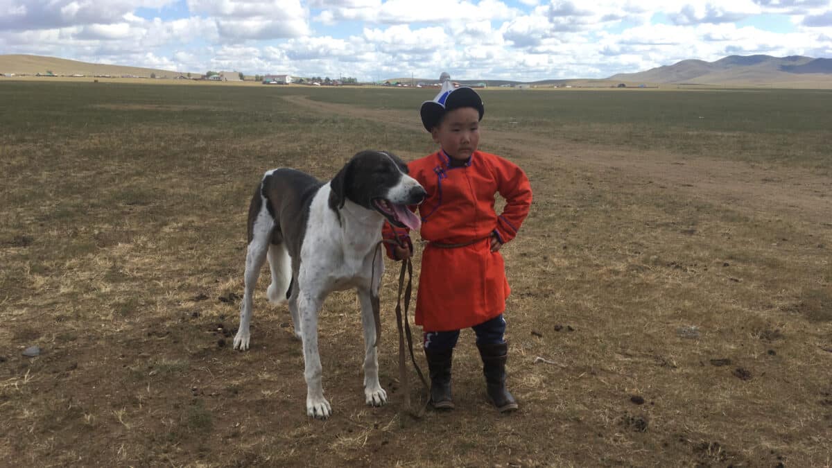 dog mongolia