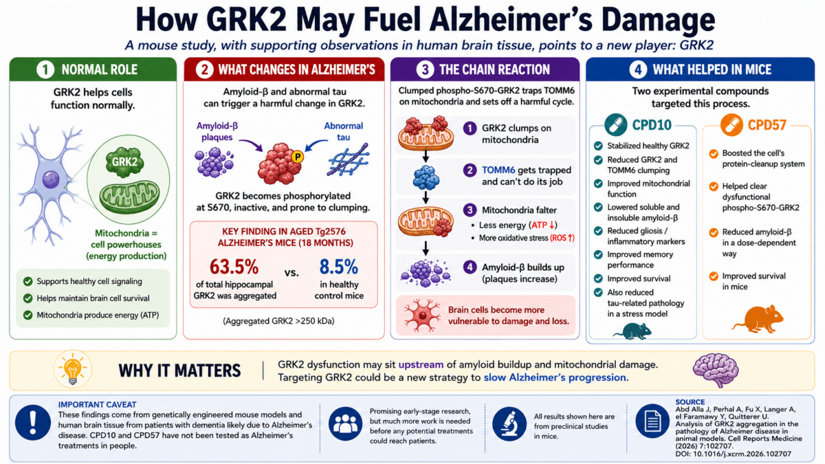 grk2 infographic