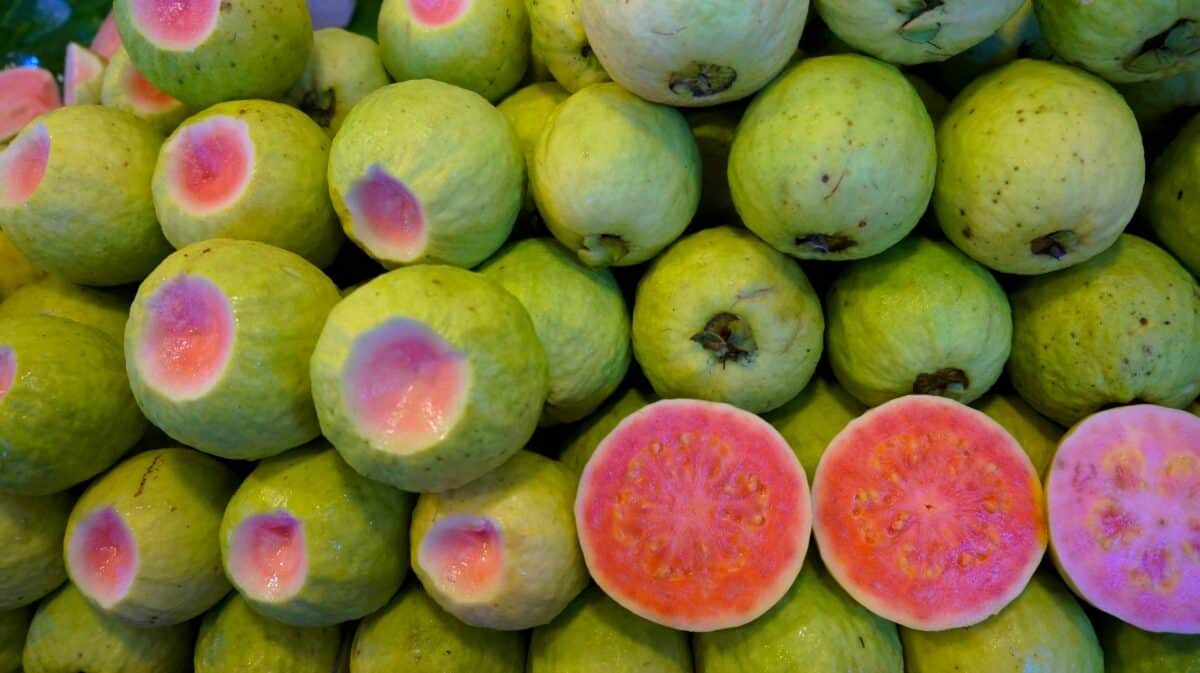 guava