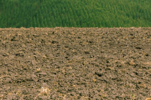 pasture soil