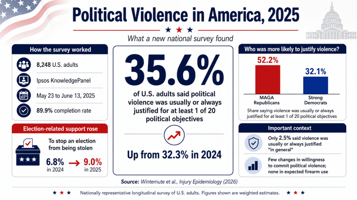 political violence infographic
