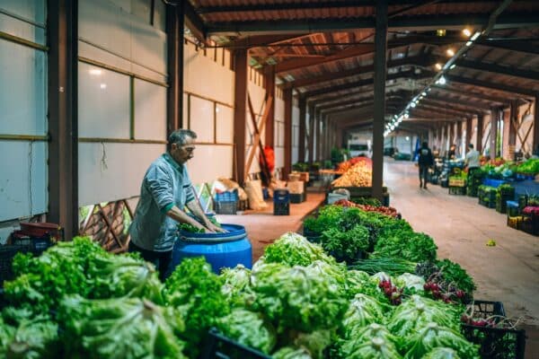 produce grocery