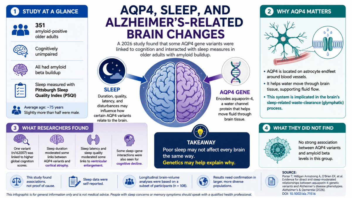sleep brain infographic