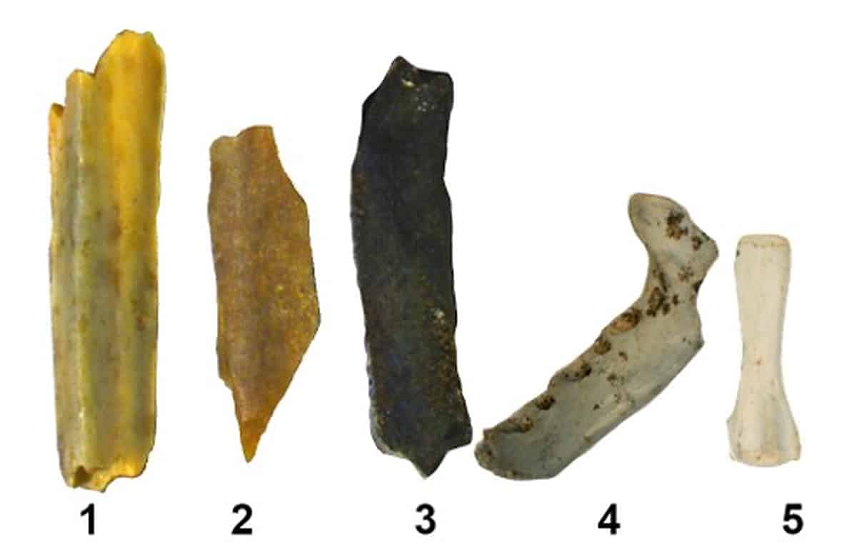 stages of burning