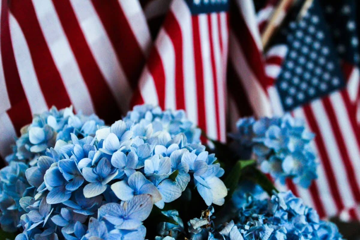 us mortality