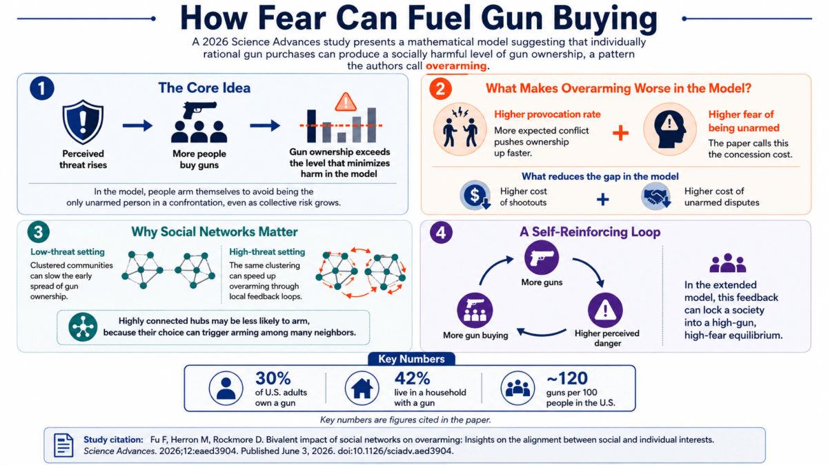 usa gun infographic