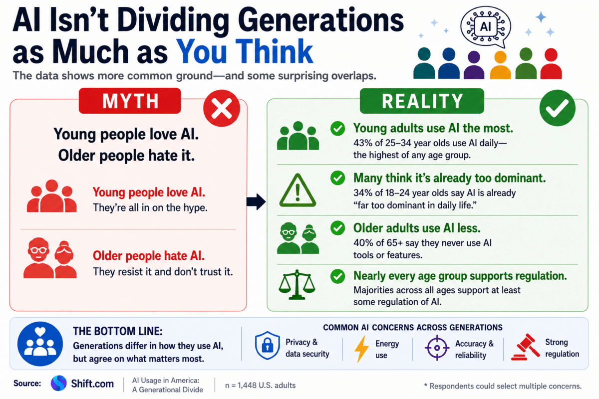 AI Usage in America Infographic