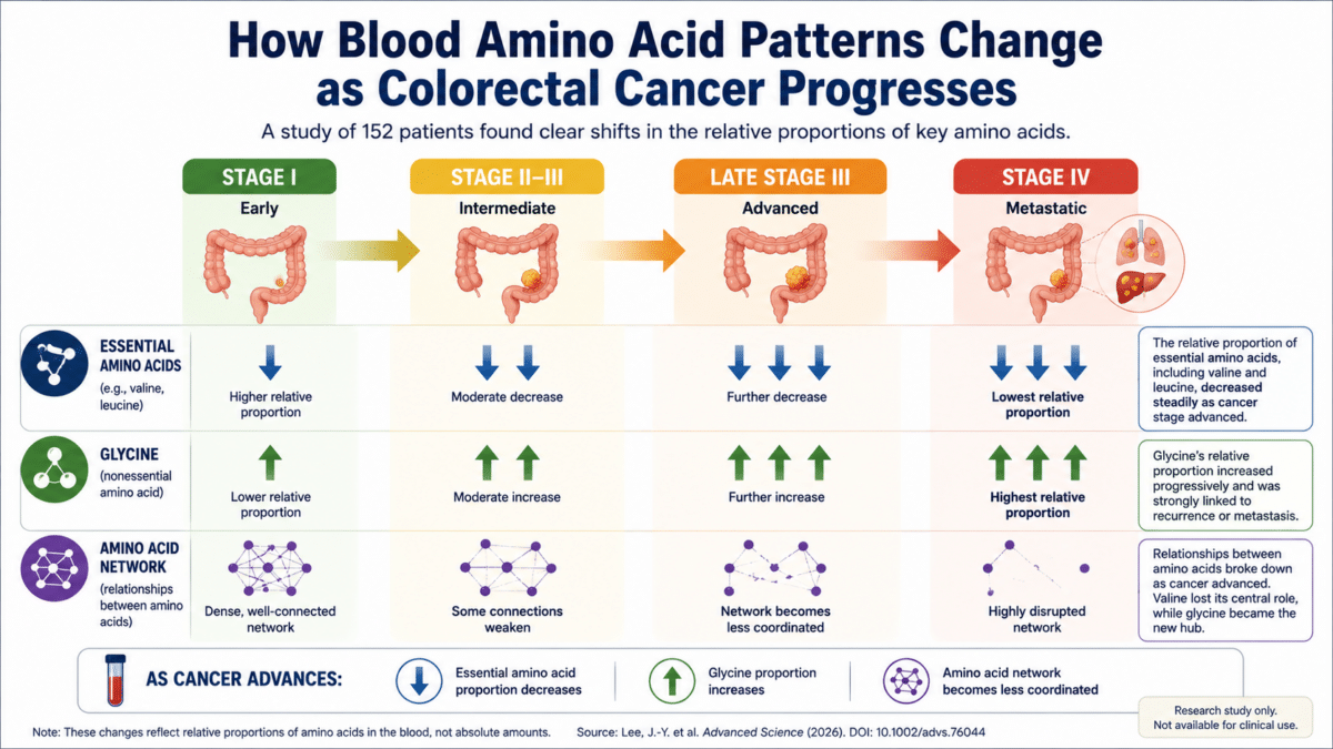 Infographic showing how blood amino acid patterns change across colorectal cancer stages, with decreases in relative essential amino acids, increases in relative glycine, and disruption of amino acid networks.