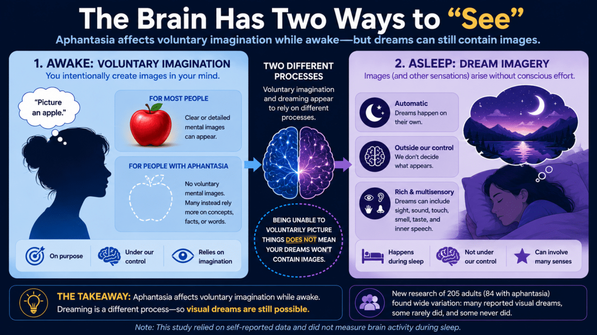 Infographic comparing voluntary mental imagery and dream imagery, showing that people with aphantasia may be unable to voluntarily visualize while awake but can still experience visual dreams because dreaming uses different brain processes.