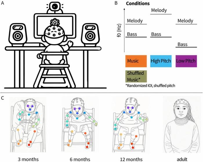 An overview of the experimental design and conditions (top), and participant sample (below) for the eLife study by Nguyen et al. Infants sat in front of a screen that showed slowly blossoming flowers to attract their attention, while speakers on each side played music. The dots on the images represent the body parts of which movements were tracked using video-based analysis.