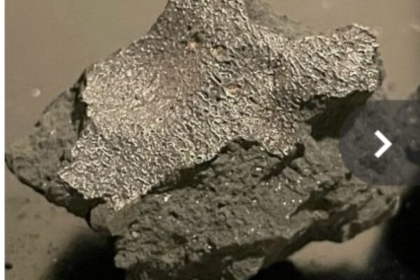 Meteorite fragment with fusion crust.