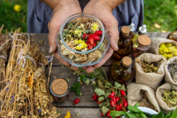 Picture of someone holding a small bowl of herbs, pluse small bags of herbs surrounding them