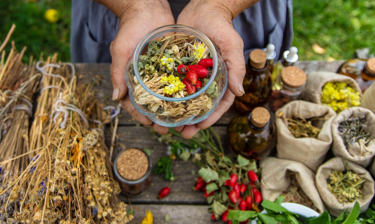 Medicinal herbs alternative medicine old woman. Selective focus.