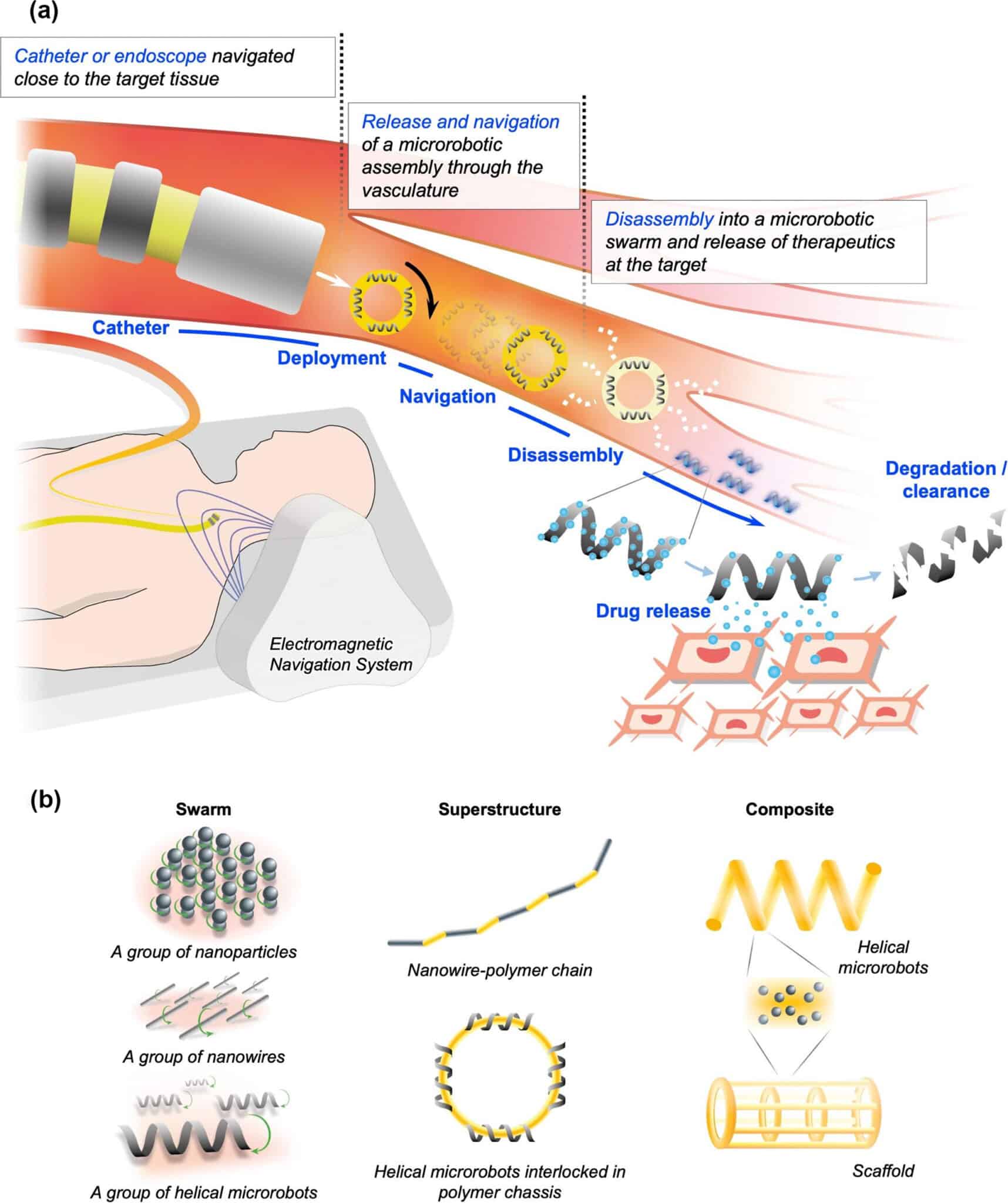 This figure illustrates a magnetic microrobot system for targeted drug delivery.