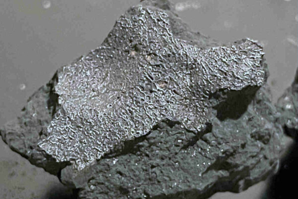 Fragment of the Hillsborough meteorite, broken on impact, with fusion crust from passing at high speed through the Earth’s atmosphere.