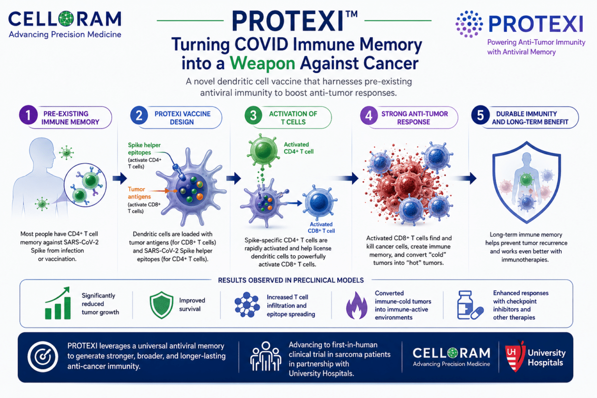 PROTEXI DC vaccine V2