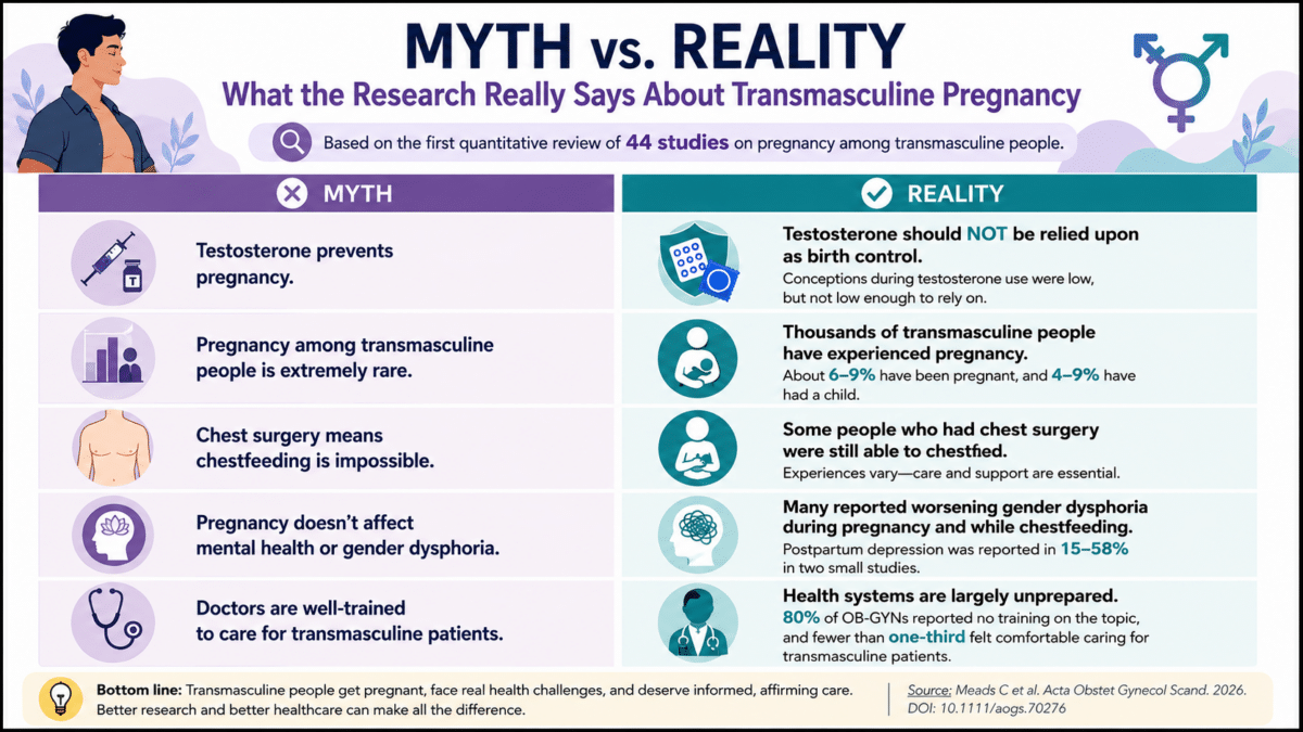 Infographic comparing common myths and research findings about transmasculine pregnancy, including pregnancy rates, testosterone, mental health, chestfeeding, and gaps in healthcare training.