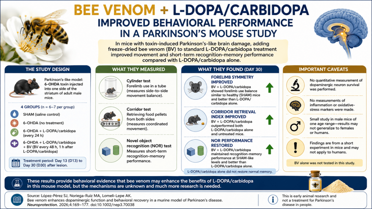 bee venom infographic