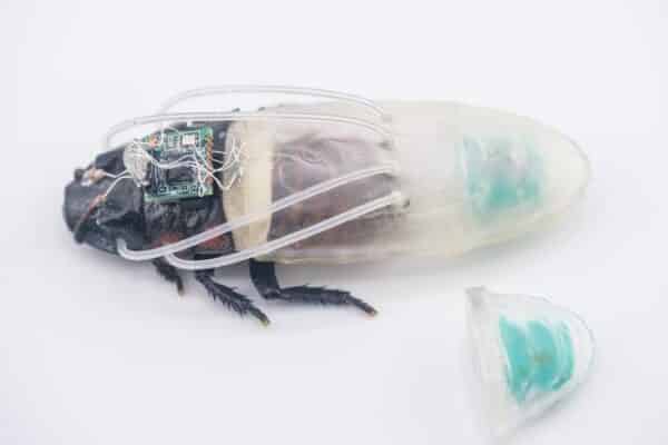 Close-up of the cyborg insect and the new diving suit, which has tubes that connect to the breathing holes of the insect and an oxygen generator mounted at the rear of the suit.