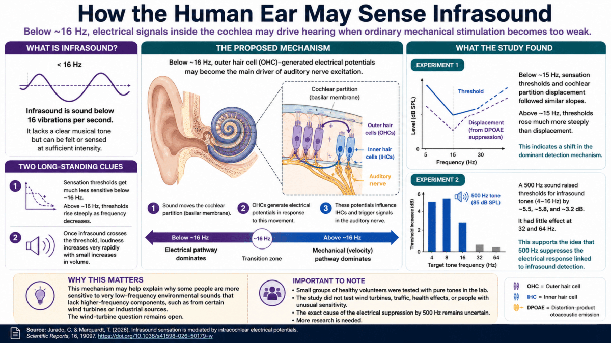 low sound infographic