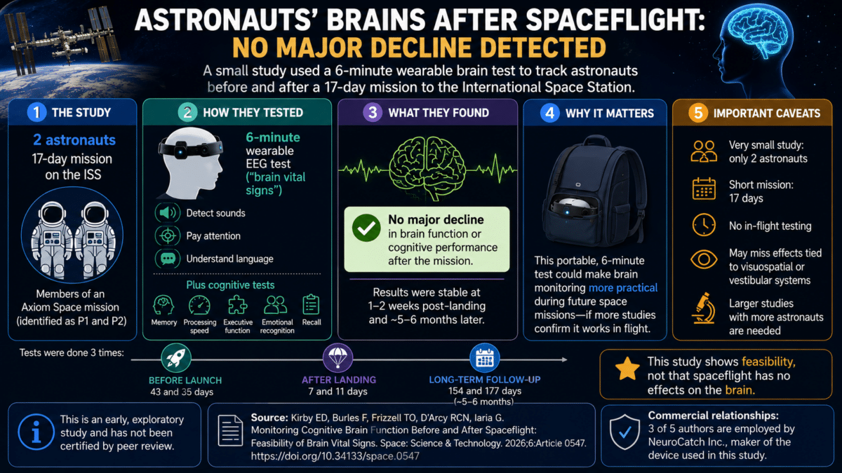 space brain