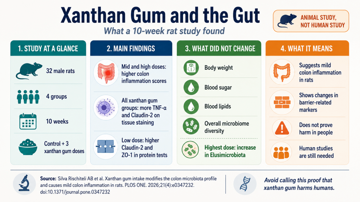 xanthan gum infographic