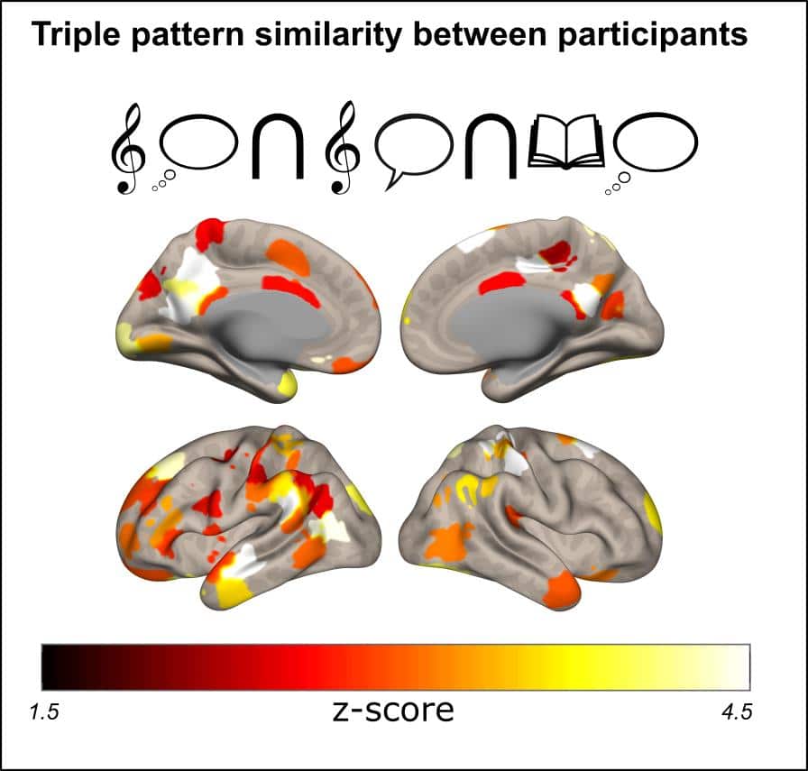 brain music