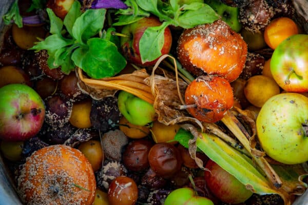 Organic waste background. Leftover meals. Uneaten groceries. Kitchen garbage. Overbuying food. Cost of food waste. Global food inequality. Food waste pollution. Rotten spoiled leftover