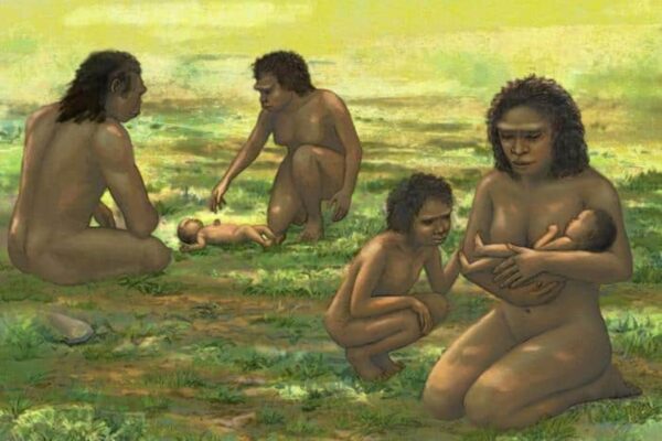 Illustration showing Homo erectus mothers holding newborns