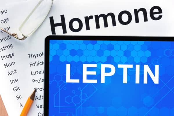 Papers with hormones list and tablet with word leptin.