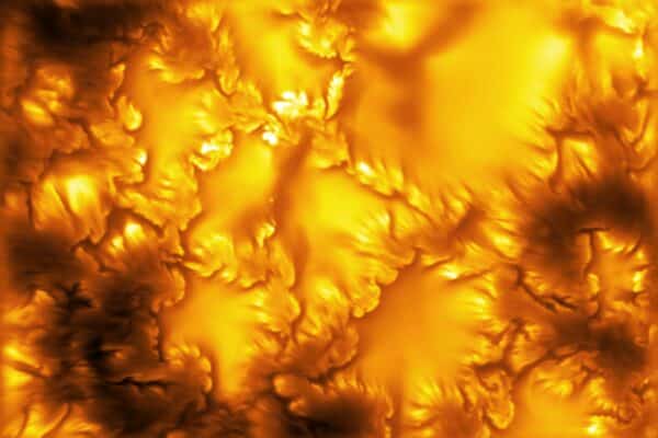 sun's surface
