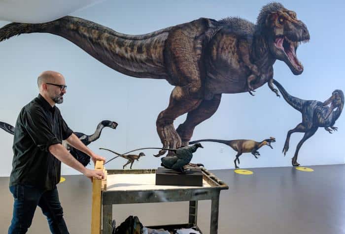 Sr Principal Preparator Jason Brougham installing Microraptor.

Exhibit label:
Microraptor gui
"small thief"
life-sized model
Among the smallest dinosaurs, Microraptor ate animals such as fish, small mammals, and lizards. Microraptor had feathers on both its forelimbs and hind limbs. Its feathers have an off-center shaft, similar to today's flying birds, so they could have provided the aerodynamic lift necessary for fight. Scientists, however, are not certain whether this dinosaur was capable of powered flight. Some researchers think that Microraptor glided from tree, much like a flying squirrel. 
Microraptor gui lived 122.0-118.9 million years ago.