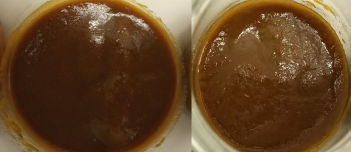 Protein ketchup made with algae compound
