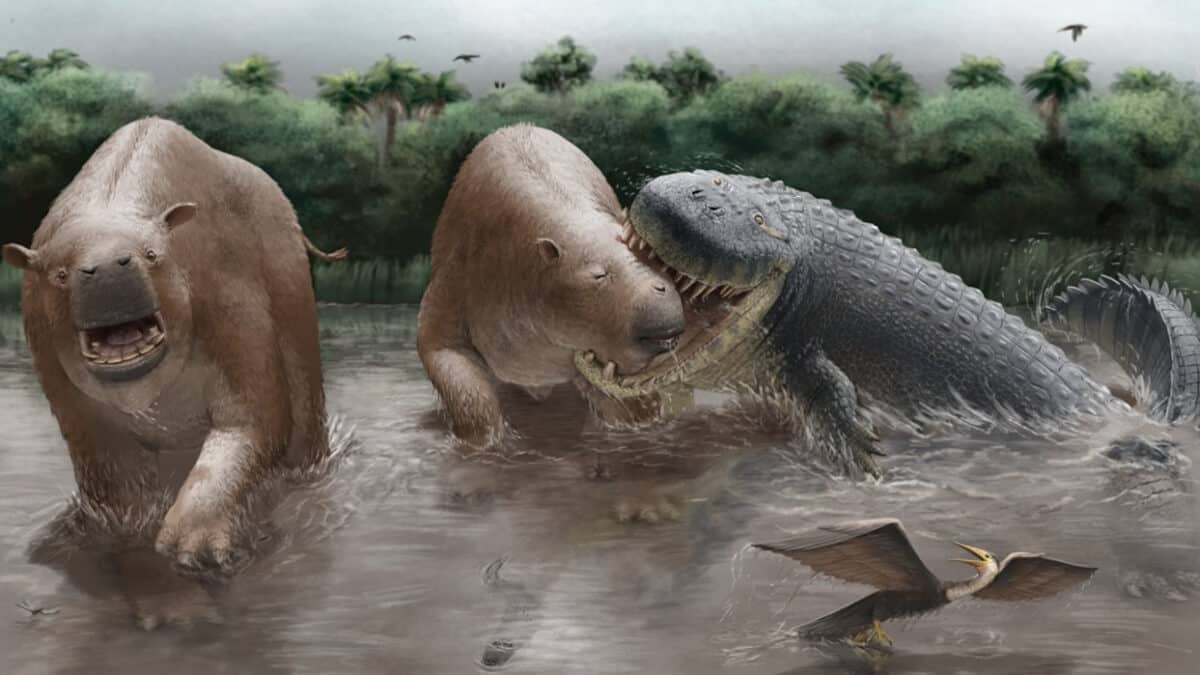 Purussaurus