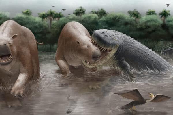 Purussaurus
