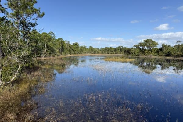florida plastic