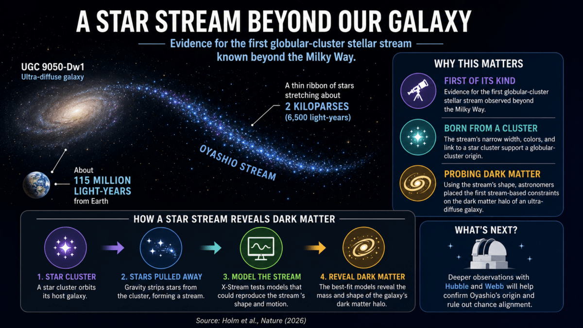 Infographic showing the Oyashio stellar stream extending from ultra-diffuse galaxy UGC 9050-Dw1 and how astronomers can use the stream to study dark matter.