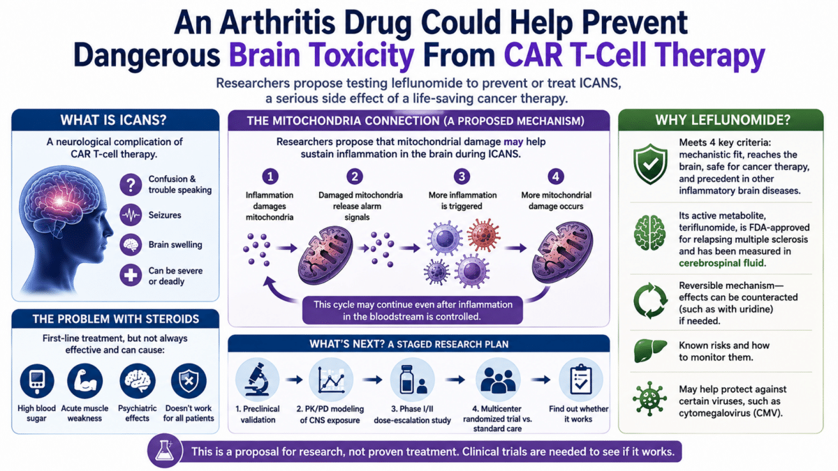 Infographic explaining how leflunomide could be studied to prevent or treat ICANS brain toxicity from CAR T-cell therapy.