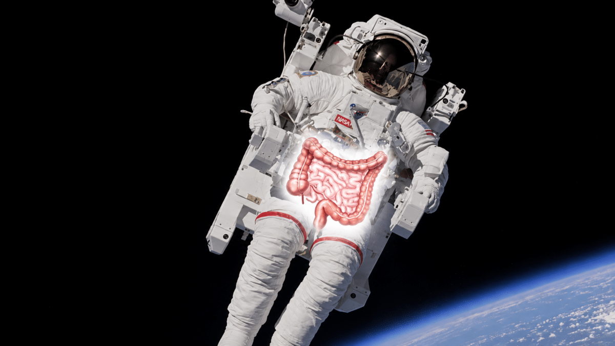 astronautgut