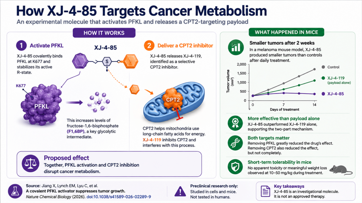 cancer sugar infographic