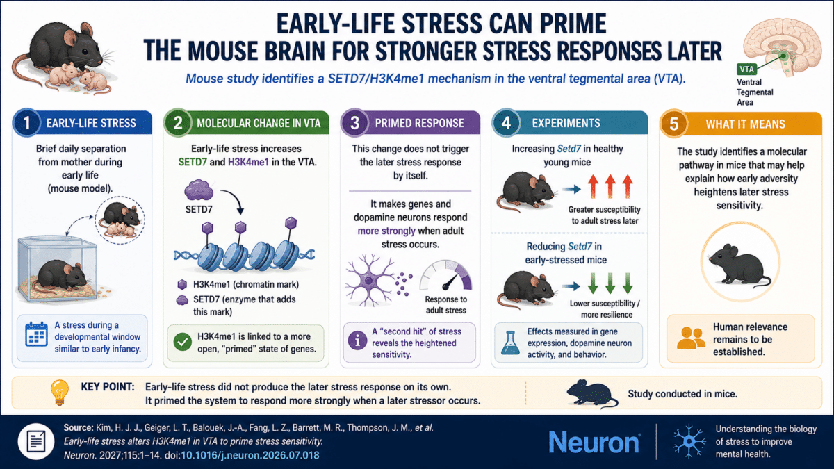 early stress infographic