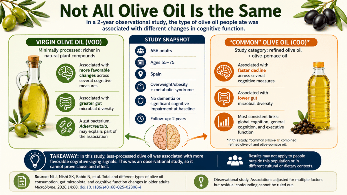 olive oil infographic