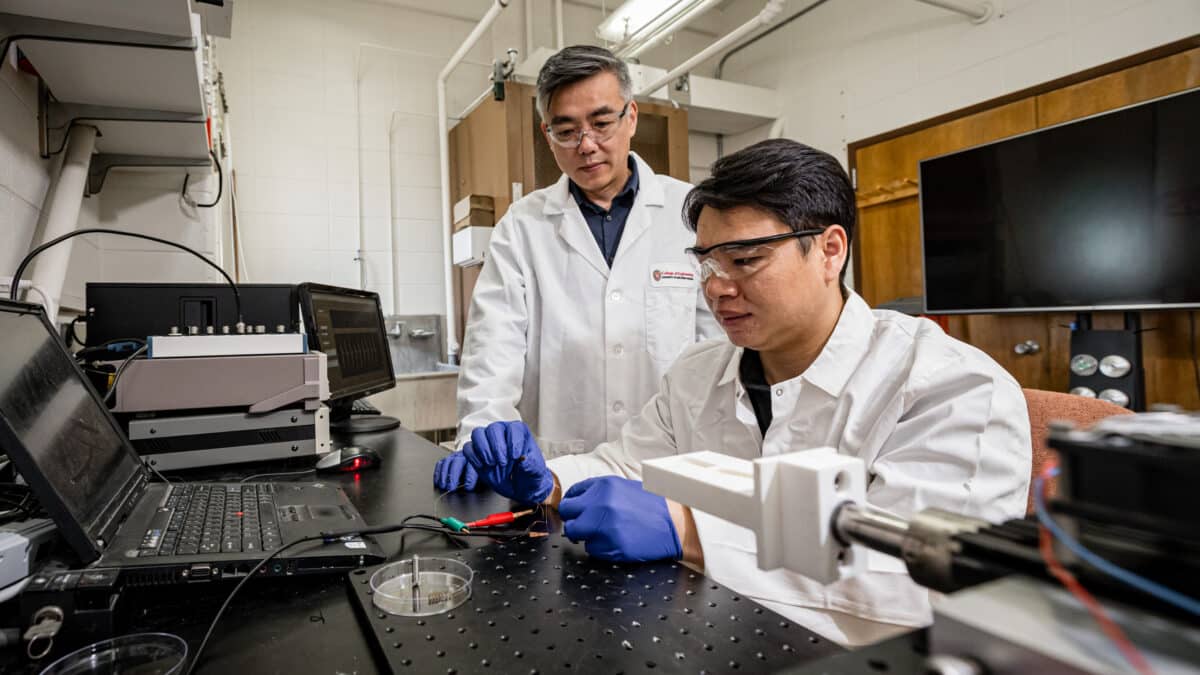 Xudong Wang lab