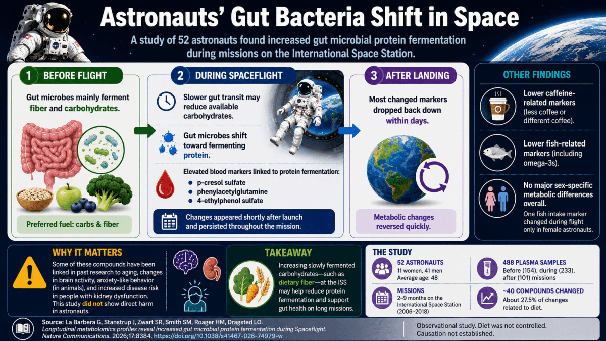 space constipation infographic